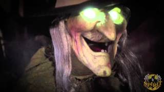 Animated Flying Witch