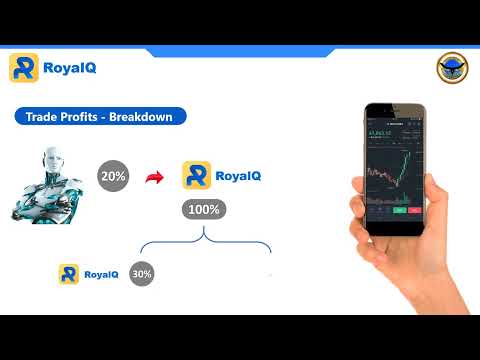 Royal Q Presentation Infographics Team 123 International - Philippines