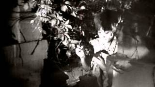 PETER HAMMILL five years ago (1999) 12