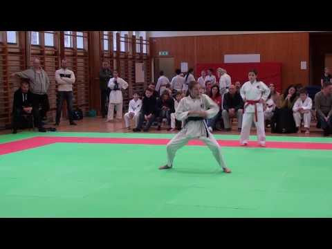 Elviira: Tekki shodan