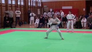 Elviira: Tekki shodan