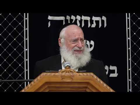 ספירת העומר: ספירת ימים ושבועות | שיעור שבועי מאת מרן הרב אשר וייס שליט"א (פרשת אמור תשפ"ו)