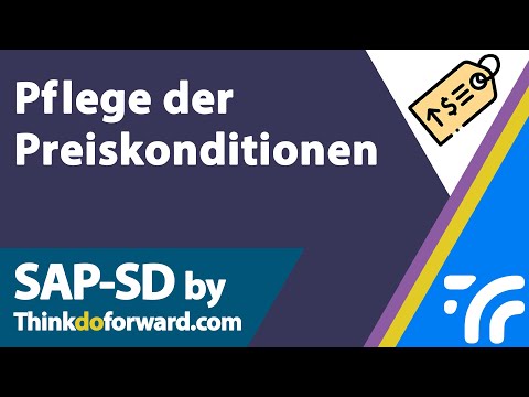 Pflege der Preiskonditionen - SAP