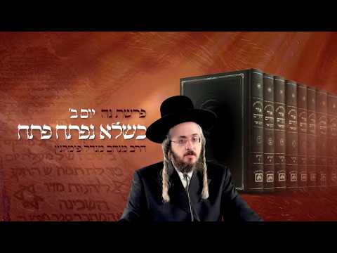 רגע קדוש מהאור החיים - יום ב' פרשת נח