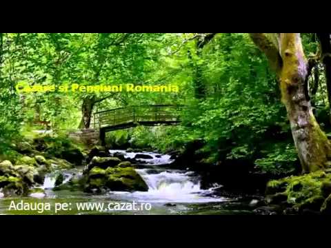 Cazare Valea de Brazi, Hunedoara - Cazat.ro