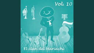 Te Volviste Cantinera