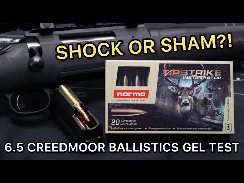 BIG SCAM?! 6.5 Creedmoor Norma Tipstrike 140gr Ammo Test