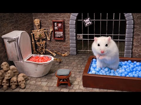 Hamster Escapes from the Roman Maze 💀 Life or Death 🐹Hamsterious