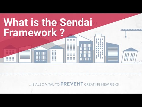 Sendai Framework Priority 4: Build Back Better