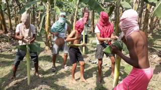 Taherpur kola bagan rock band Taherpur kola bagan rock band