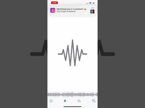 li acce hammer unreleased