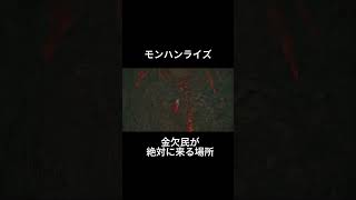 【MHR】金欠民が訪れる場所