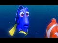 I Suffer From Short Term Memory Loss Scene FINDING NEMO 2003 Movie Clip