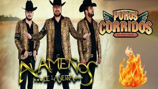🎯 ALAMEÑOS DE LA SIERRA 🤠 – PUROS CORRIDOS BRAVOS Y RANCHEROS 💥 30 ÉXITOS INMORTALES