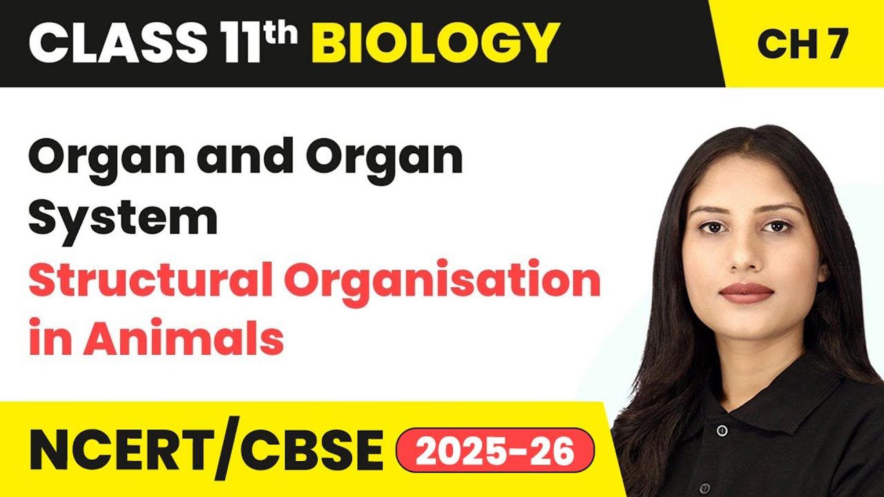 Organ and Organ System - Structural Organisation in Animals | Class 11 Biology Chapter 7 | CBSE