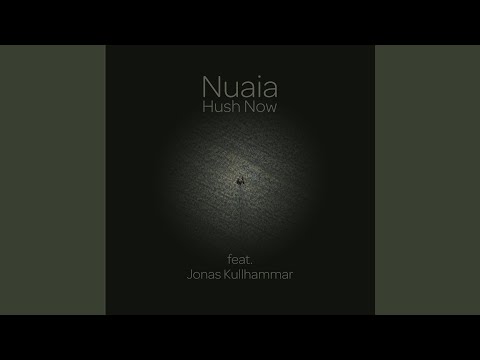 Hush Now (feat. Jonas Kullhammar)