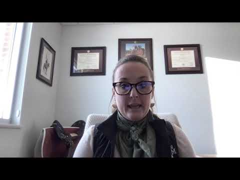 All about spring grass for horses