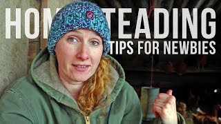 TIPS FOR NEW HOMESTEADERS with Little Mountain Ranch