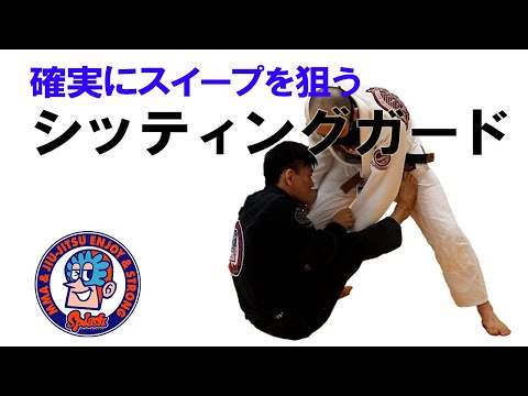 シッティングガード　デラヒーバから　袖持ちえスイープ　襟持ちスイープ　バックを狙う