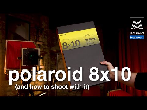 What is Polaroid 8x10? Breaking down Polaroid's largest format with the Intrepid Camera 8x10 MKIII