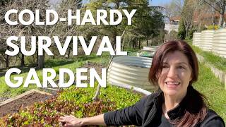 SURVIVAL GARDEN - These Frost-tolerant Plants Grow in Cold Temperatures!