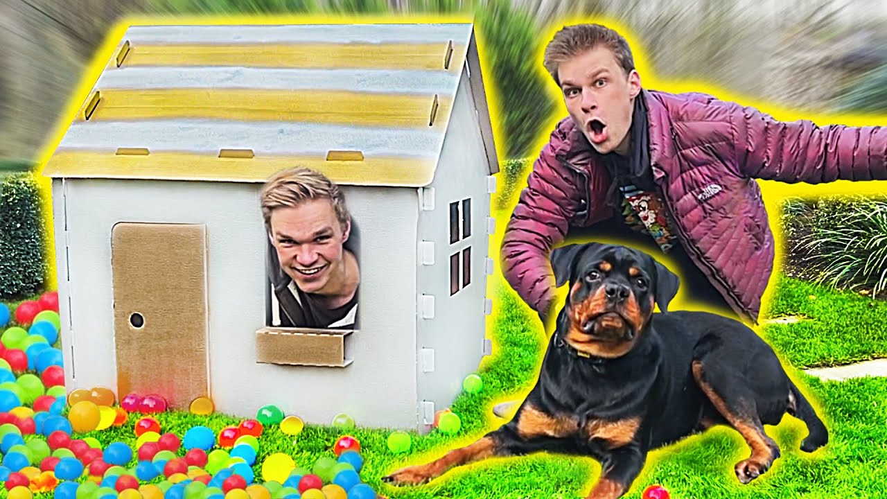 ZBUDOWALIŚMY CIEPŁY KARTONOWY DOM dla PSA ABRY! (była w szoku)