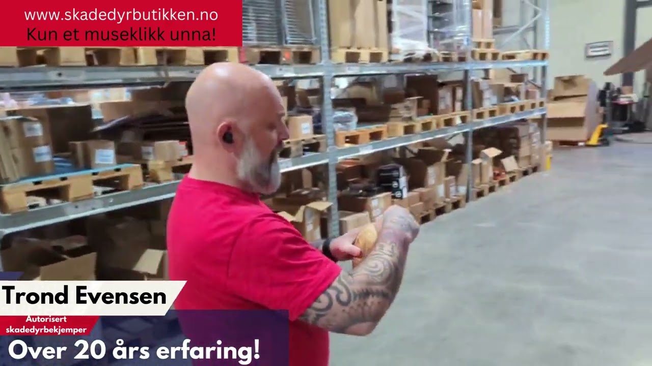 Vepsebol - Lur vepsen med fake vepsebol