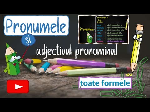 PRONOUN / PRONOMINAL ADJECTIVE / Semi-independent pronoun