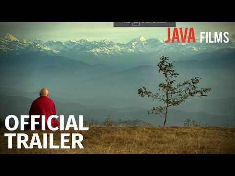 The Altruism Revolution