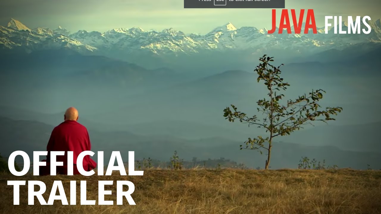 Miniature de la vidéo The Altruism Revolution du film Vers un monde altruiste ?