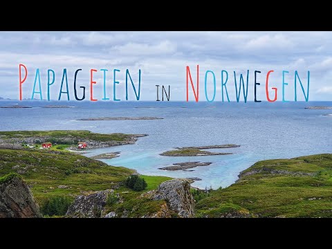 [#2] Radreise Norwegen | Zelten auf Lovund, mit dem Fahrrad zu den Puffins | Fahrradweltreise