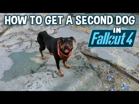 How to Get a Second Dog in Fallout 4 | Your New Junkyard Dog Video