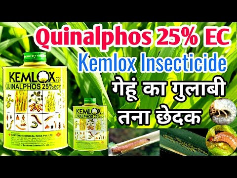 Quinalphos 25 Ec Insecticide