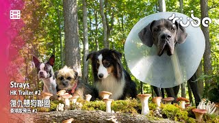 Trailer Preview Image