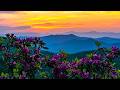 "Remembering August" Beautiful Relaxing Music, Peaceful Soothing Instrumental Music by Tim Janis