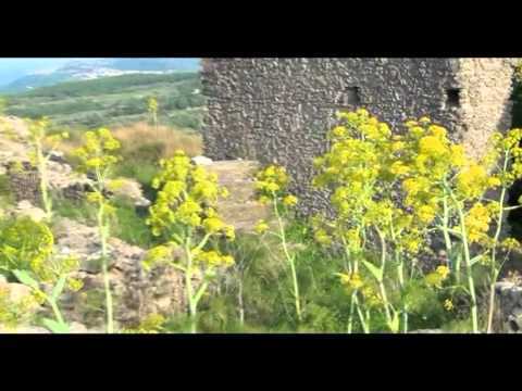 Girifalco ( CZ) - RIONE " PIOPPI VECCHI ".mpg