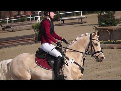 Davinci Gold GeländeWB Werne 2019