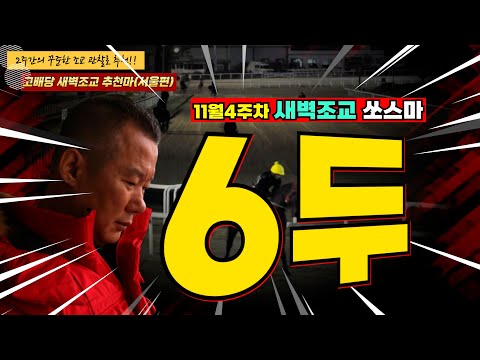 11월 4주차 -강백호-새벽조교 추천馬 ★