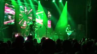 STIR - &quot;Ladybug&quot;