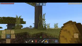 perdi o mundo logo quando comecei