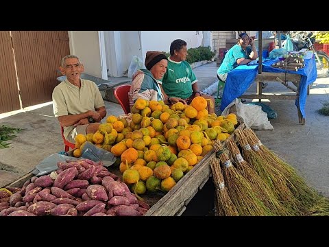 Vassoura 💰5 só em Capoeiras-PE 12/6/2026