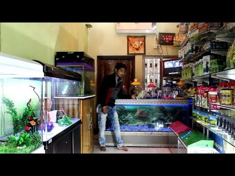 big size fully automatic aquarium in cheap rate | west bengla | birbhum # 2