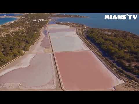 IOI - What If I Pretend (Giorgio Gee Edit)