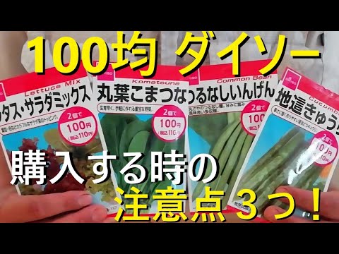 野菜の種まき: 最もよくある 3 つの間違い トピックス