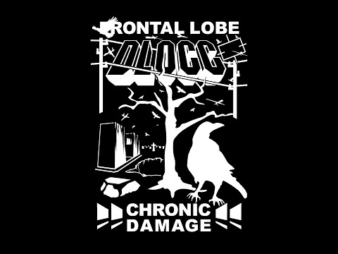Video thumbnail for frontal lobe chronic damage