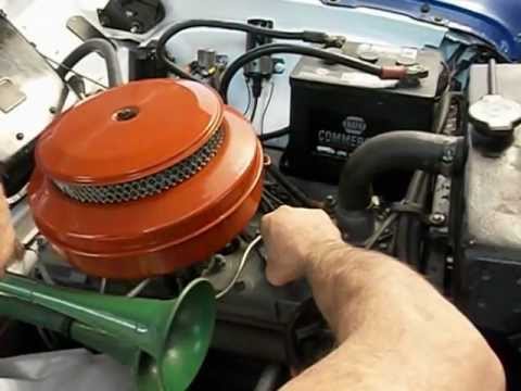 Thumbnail for Smooth Flathead