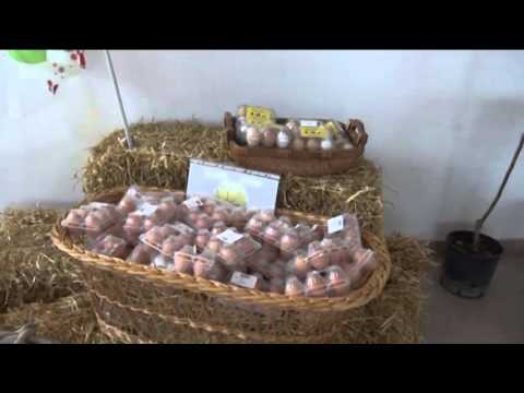 TgSei L'Aquila Sabato 16 aprile 2016