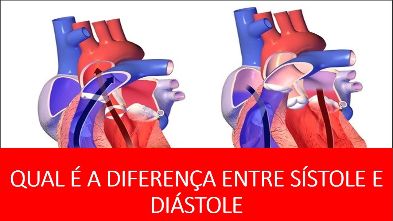 QUAL É A DIFERENÇA ENTRE PRESSÃO ARTERIAL SÍSTOLICA E DIASTÓLICA - DIFEREÇA ENTRE PRESSÃO ARTERIAL