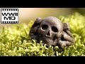 WWII Metal Detecting - Third Reich Relic Hunting ...