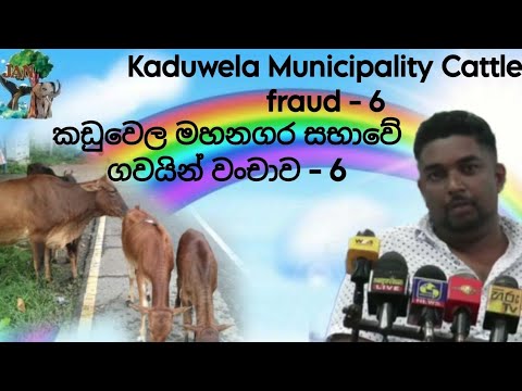 66 Kaduwela MC cattle fraud - Sanjeewa Ranasinghe | කඩුවෙල මහනගර සභාවේ ගව වංචාව - සංජීව රණසිංහ